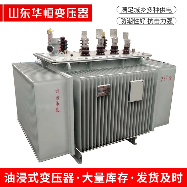 S13-10000/35奉节奉节奉节电力变压器厂家