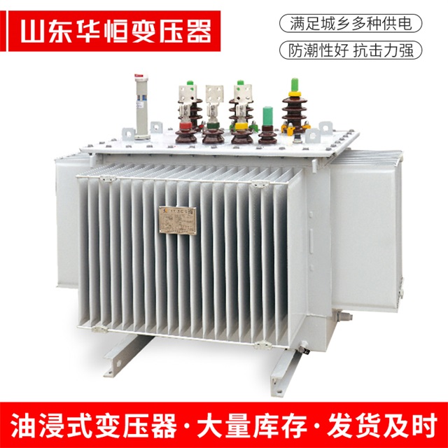 S13-10000/35奉节奉节奉节电力变压器